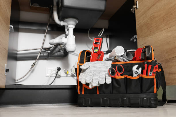 Best Plumbing Inspection Services  in Long Lake, IL