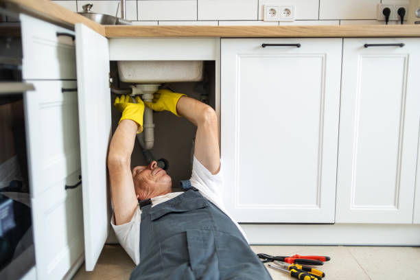 Best Best Plumbers Near Me  in Long Lake, IL