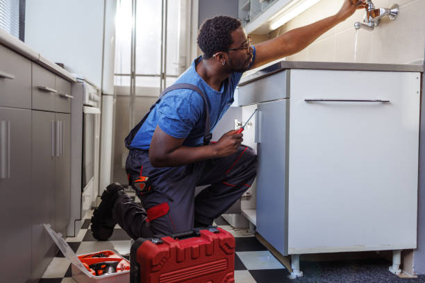 Best Hot Water Heater Installation  in Long Lake, IL